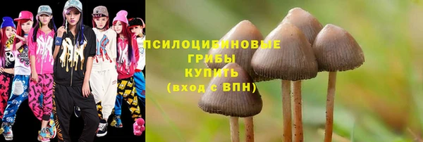 spice Верхний Тагил