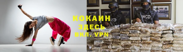 бошки Верея