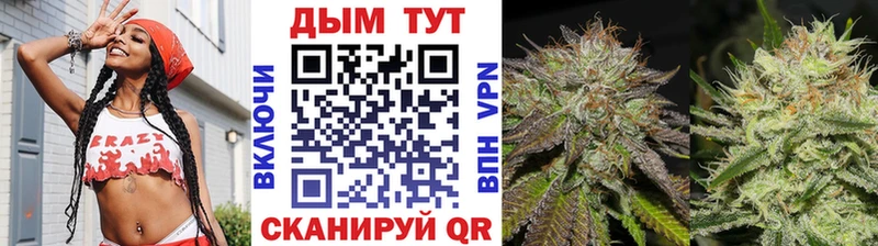 Бошки марихуана сатива  Купить закладки  Нытва 